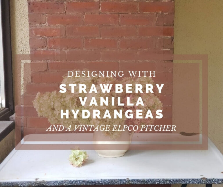strawberry vanilla hydrangea end of summer color