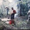 vintage adirondack basket 40s photo